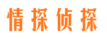 新罗市侦探公司